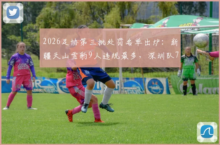 2026足协第三批处罚名单出炉：新疆天山雪豹9人违规最多，深圳队7人，涉及俱乐部应对策略分析